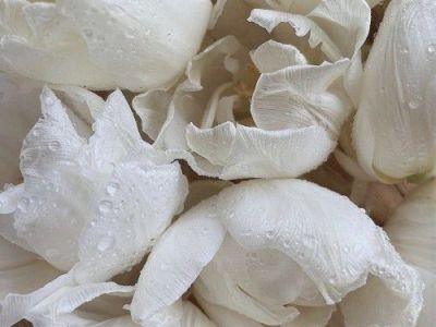 Mindfulness Practices to Reduce Stress: A Guide to Inner&nbsp;Peace