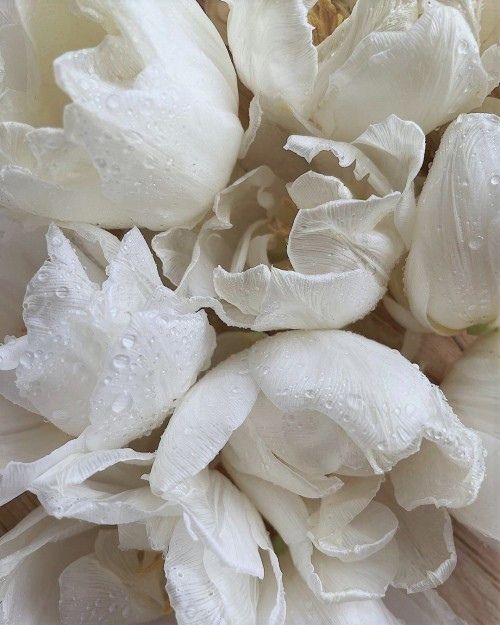 Mindfulness Practices to Reduce Stress: A Guide to Inner&nbsp;Peace